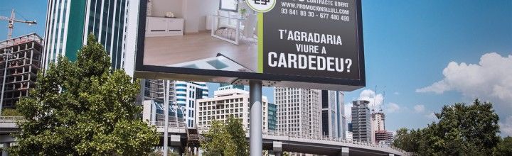 Disseny cartell publicitari per Promocions Llull